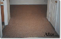 Carpet Cleaning Images Buckinghamshire