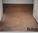 Carpet Cleaning Pictures Amersham