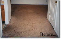 Carpet Cleaning Pictures Amersham