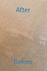 Carpet Cleaner Buckinghamshire