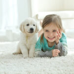 Removing Pet Stains Buckinghamshire