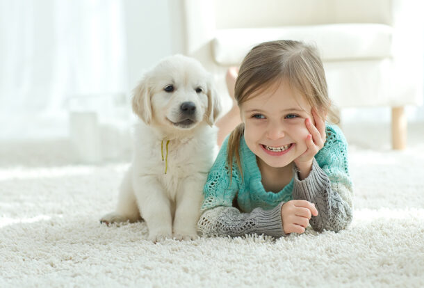 Removing Pet Stains Buckinghamshire