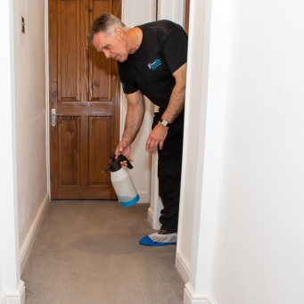 Carpet cleaning amersham