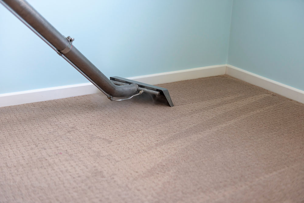 carpet-cleaning